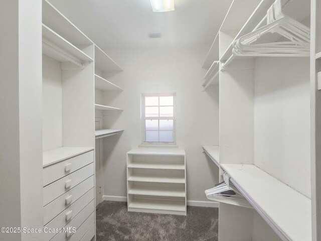 walk in closet featuring dark colored carpet