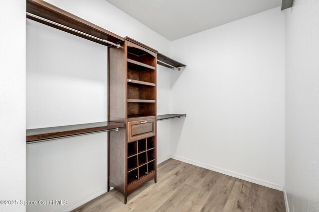 spacious closet with light wood finished floors