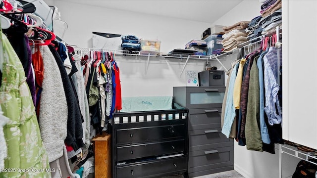 view of spacious closet