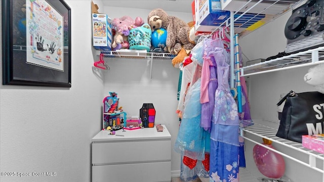 view of spacious closet