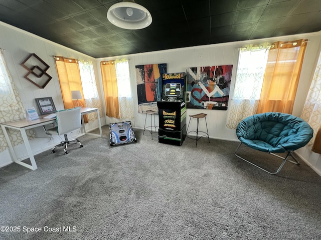 interior space featuring ornamental molding and carpet