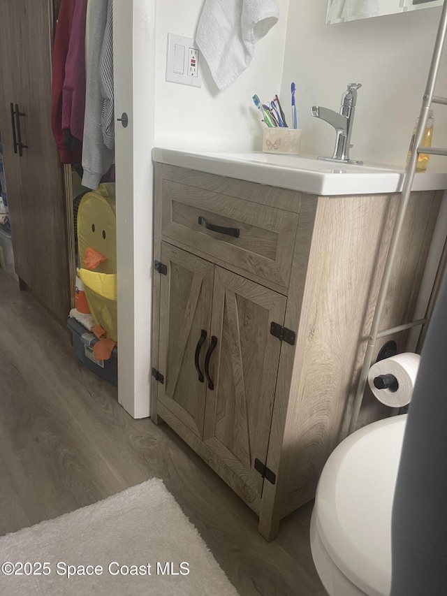 bathroom featuring hardwood / wood-style floors and vanity