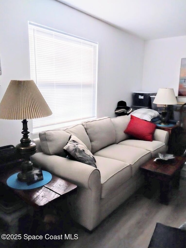 living room with hardwood / wood-style floors