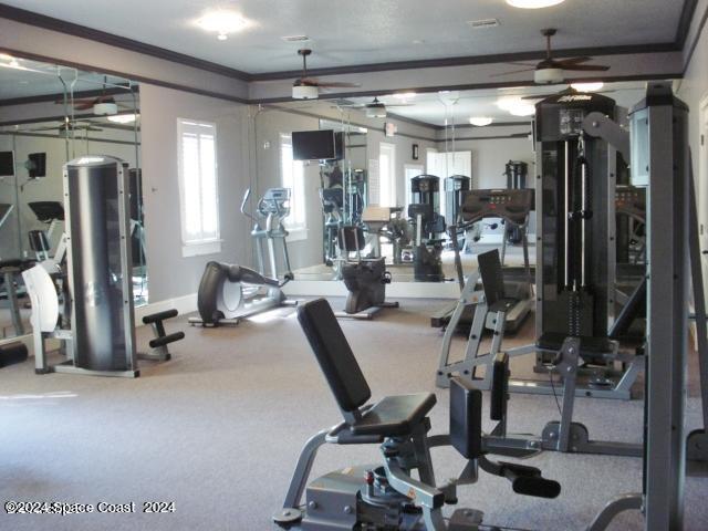 gym featuring crown molding and ceiling fan