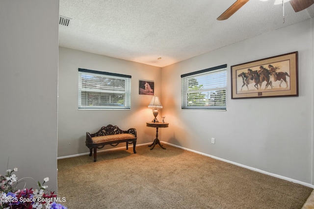 living area featuring ceiling fan, a textured ceiling, and carpet