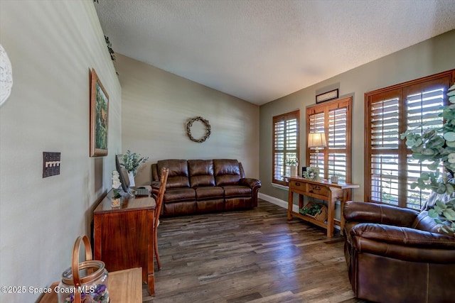 living room with a textured ceiling, dark wood-type flooring, and lofted ceiling