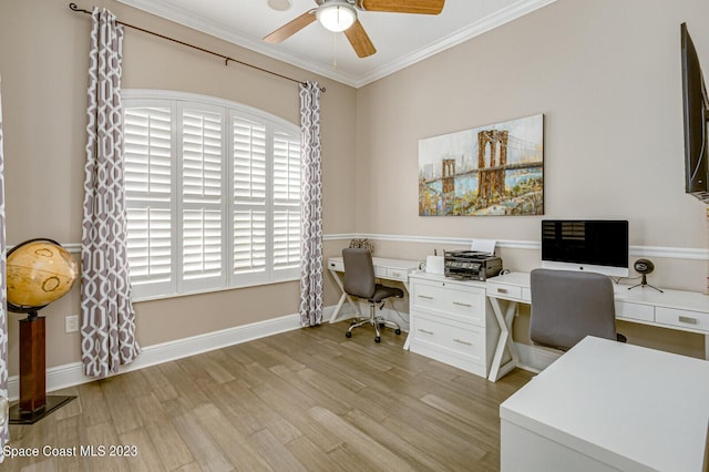 office with crown molding, ceiling fan, and light wood-type flooring