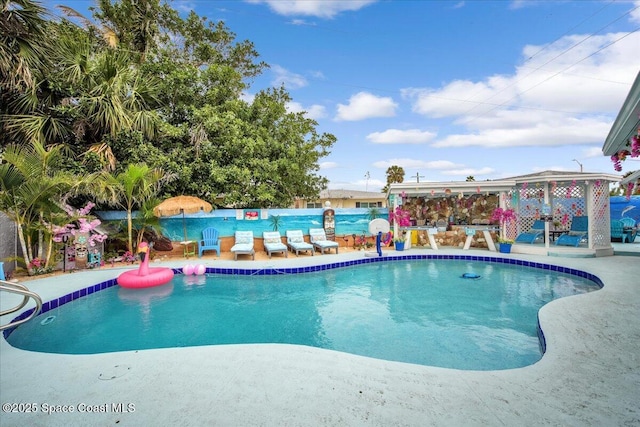 view of pool with a patio