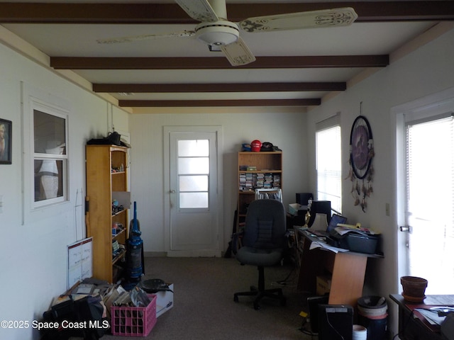 carpeted office space featuring ceiling fan, a healthy amount of sunlight, and beam ceiling