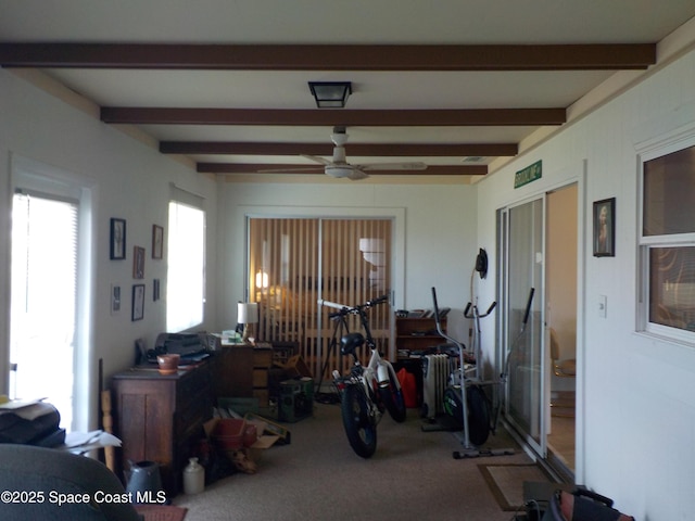 interior space with ceiling fan and carpet flooring