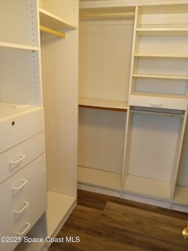 spacious closet with dark hardwood / wood-style floors