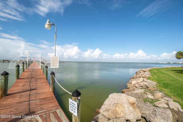 dock area with a water view