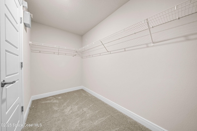 walk in closet featuring carpet