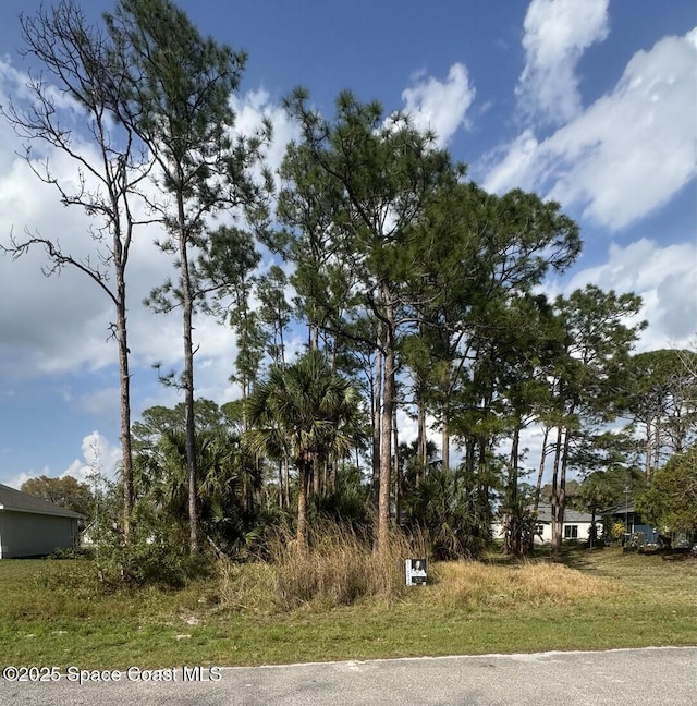 443 Wayland Rd SW, Palm Bay FL, 32908 land for sale