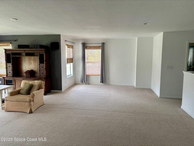 113 Wading Bird Cir SW, Palm Bay, FL 32908 - living area featuring light carpet, plenty of natural light, baseboards, and a textured ceiling