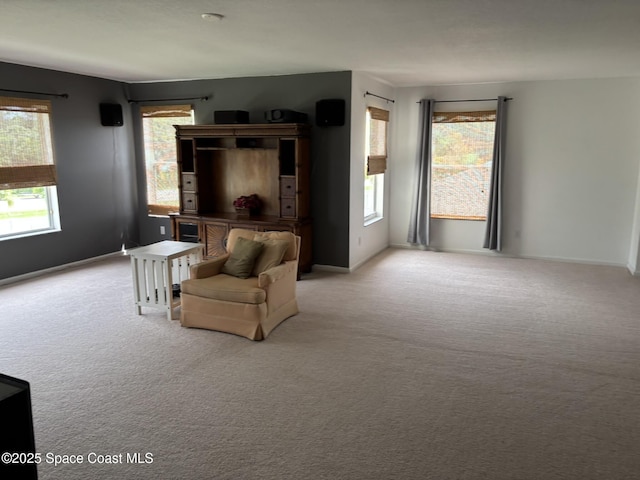 113 Wading Bird Cir SW, Palm Bay, FL 32908 - sitting room with carpet and baseboards