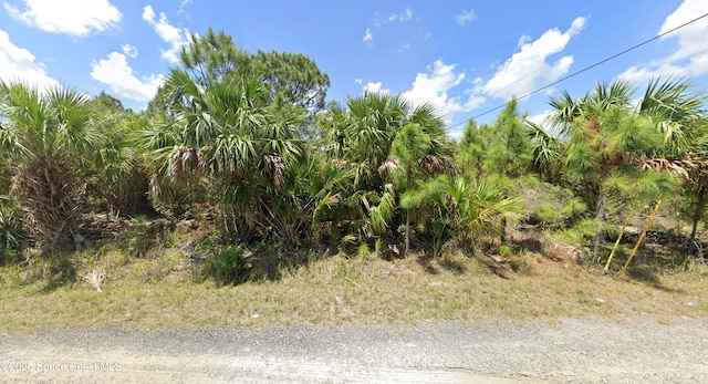 3262 Pomello Ave SW, Palm Bay FL, 32908 land for sale