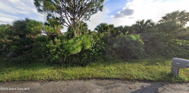 542 Hallcrest St SW, Palm Bay FL, 32908 land for sale