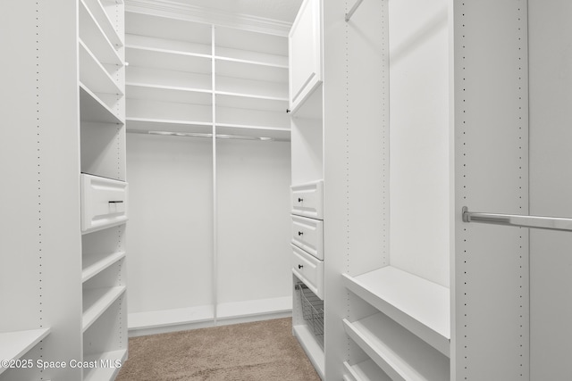 spacious closet with light carpet