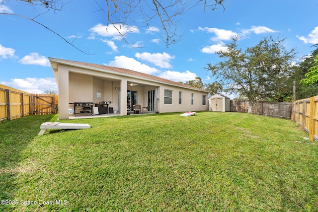 rear view of property featuring a shed, a patio area, and a yard