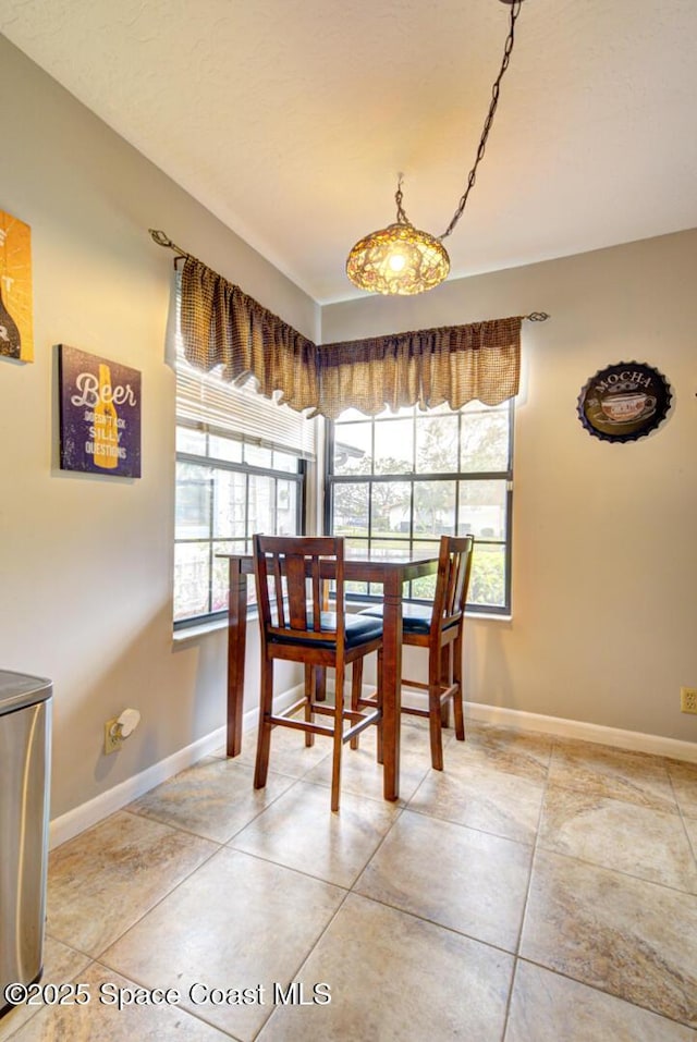 dining room featuring a healthy amount of sunlight and baseboards