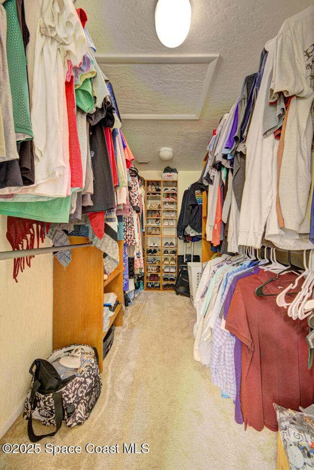 walk in closet with carpet floors