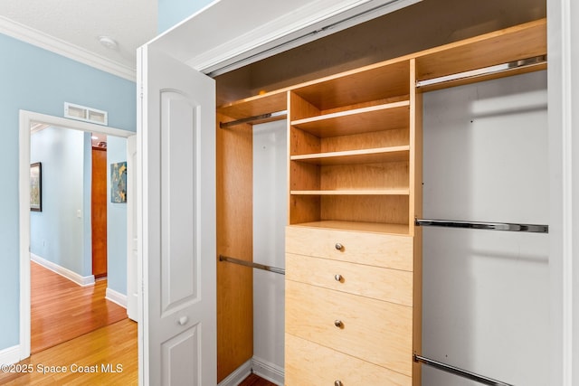 closet with visible vents