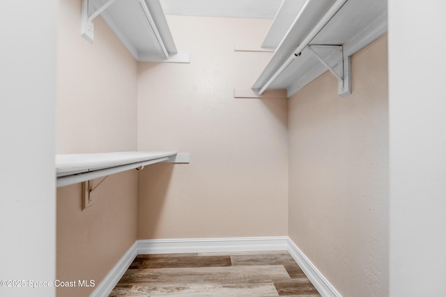 spacious closet with light wood-type flooring