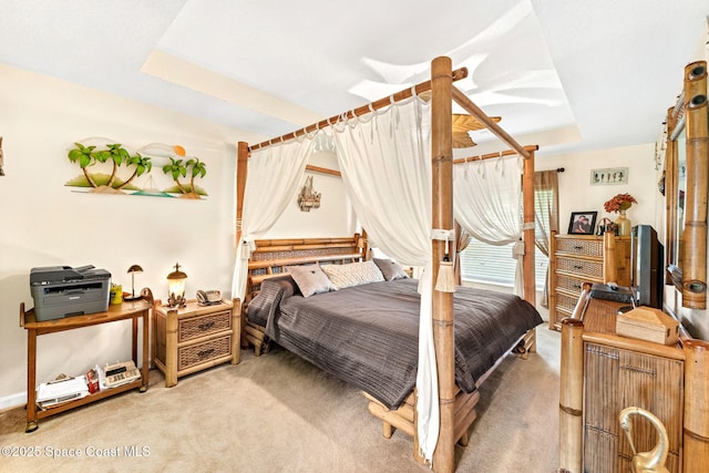 carpeted bedroom featuring a raised ceiling