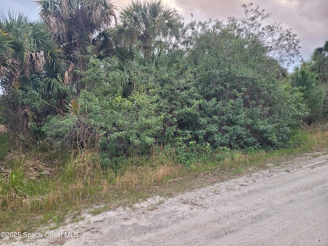 772 Sandlewood St SW, Palm Bay FL, 32908 land for sale