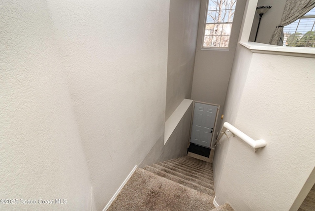 staircase with carpet and a textured wall