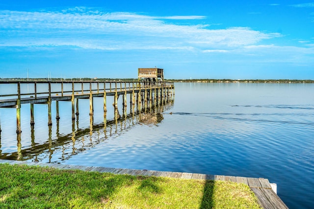 dock area with a water view