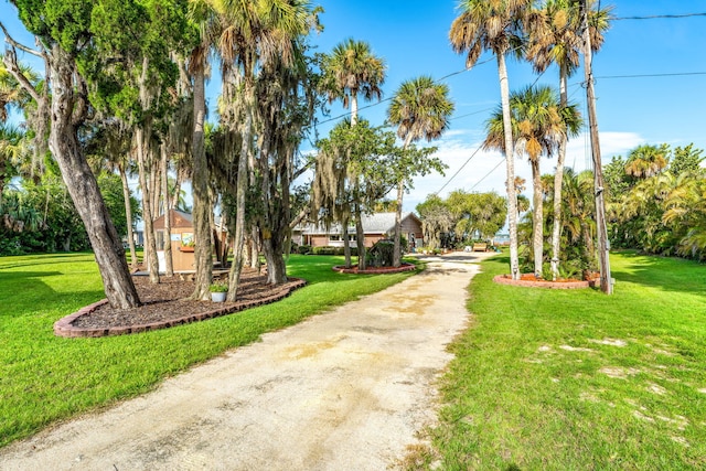 exterior space with driveway and a lawn