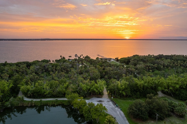 aerial view with a water view and a view of trees