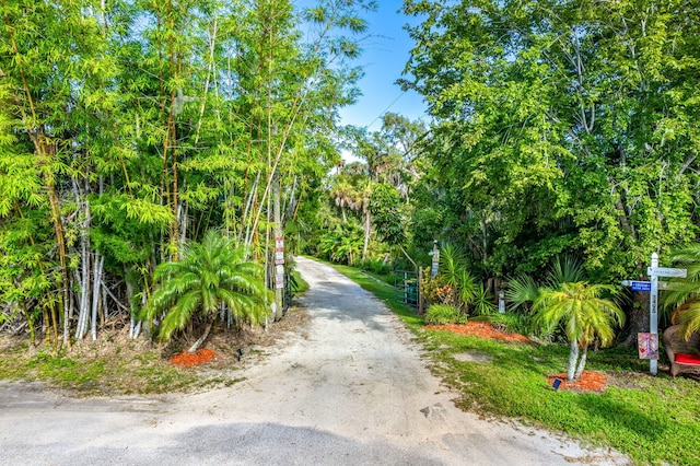 view of road featuring driveway and a gated entry