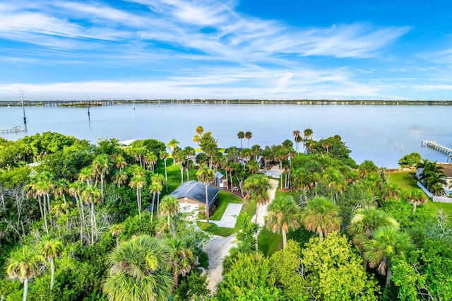 aerial view with a water view