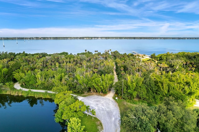 aerial view featuring a water view and a forest view