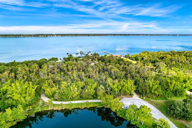 aerial view featuring a water view and a view of trees