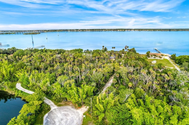 drone / aerial view featuring a forest view and a water view