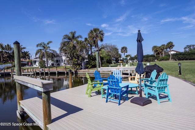 dock area with a water view