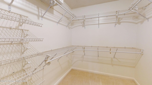 spacious closet featuring light carpet