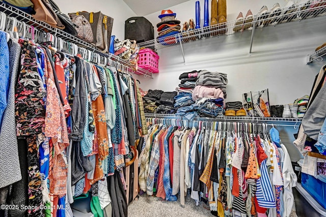 spacious closet featuring carpet floors