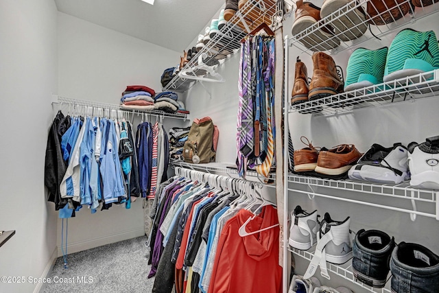 spacious closet with carpet