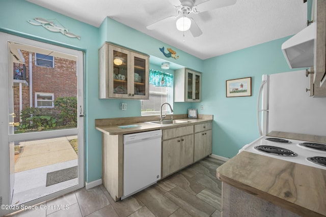 kitchen featuring white appliances, ceiling fan, glass insert cabinets, ventilation hood, and a sink