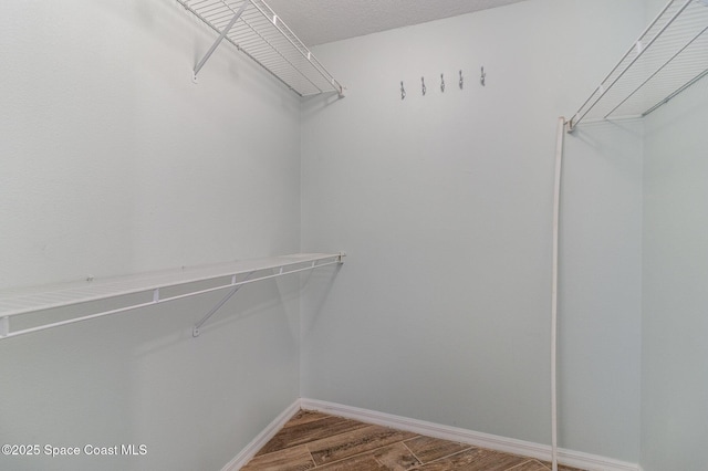 walk in closet featuring wood finished floors