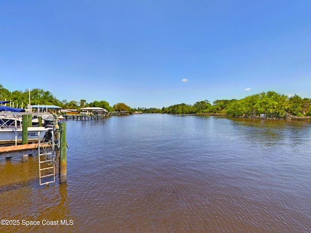 1307 River Hills Cir E Unit 10, Jacksonville, FL 32210 - photo 2