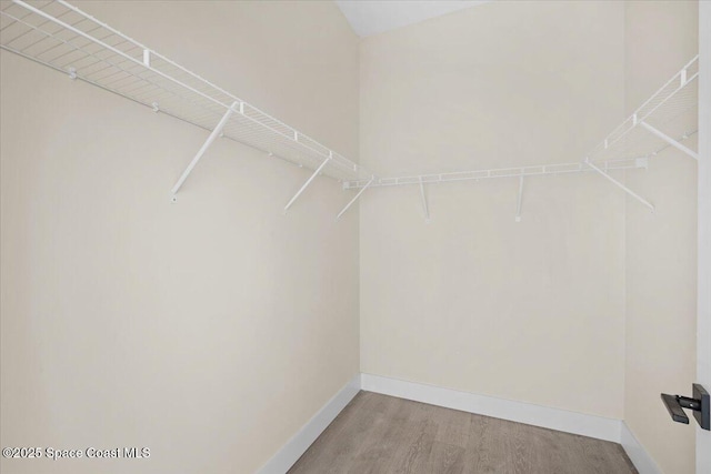 spacious closet featuring wood finished floors