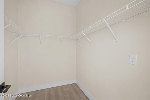 spacious closet featuring wood finished floors