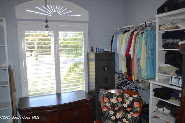 view of spacious closet