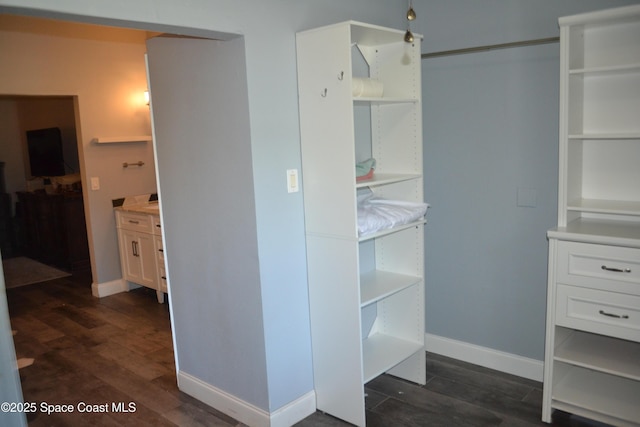 spacious closet featuring dark wood-type flooring